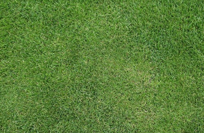 人造草坪足球场：校园与社区的运动新选择！